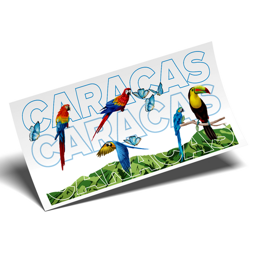 UV DTF - Caracas 16 oz Wrap