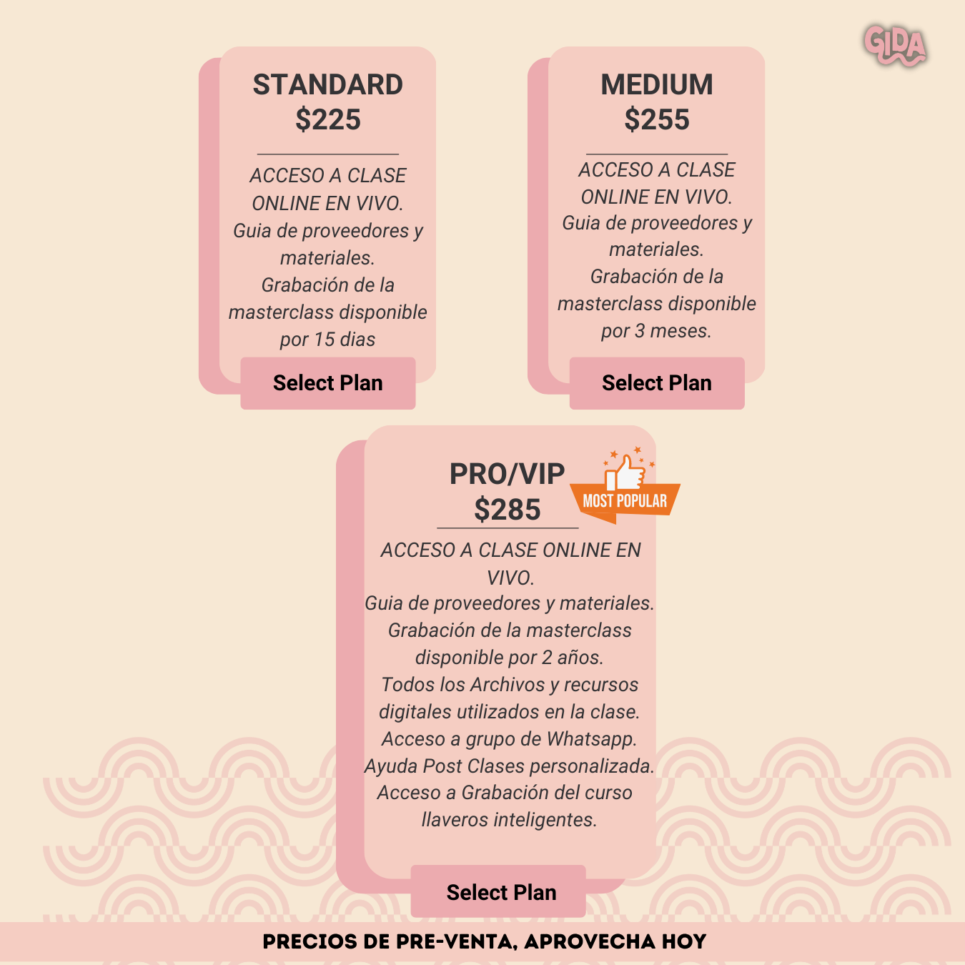 GRABACION Master Class - En vivo - Corte Laser