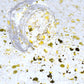 Golden White Glitter - 2.2 oz